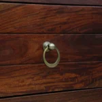 Reyansh Sheesham Wood Cabinet - Image 10
