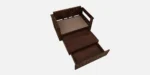 Riviera Premium Wooden Sofa Cum Bed With Plush Cushions - Image 4