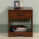 RASWOOD Sheesham Wood Bedside Table with Drawer & Shelf – Walnut Finish