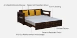 Oakridge Solid Wood Sofa Cum Bed In Natural Finish - Image 11